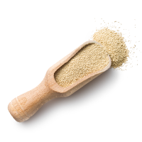 https://backporte.com/wp-content/uploads/2017/05/ingredients_transparent_02.png