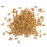https://backporte.com/wp-content/uploads/2017/05/ingredients_transparent_03.png